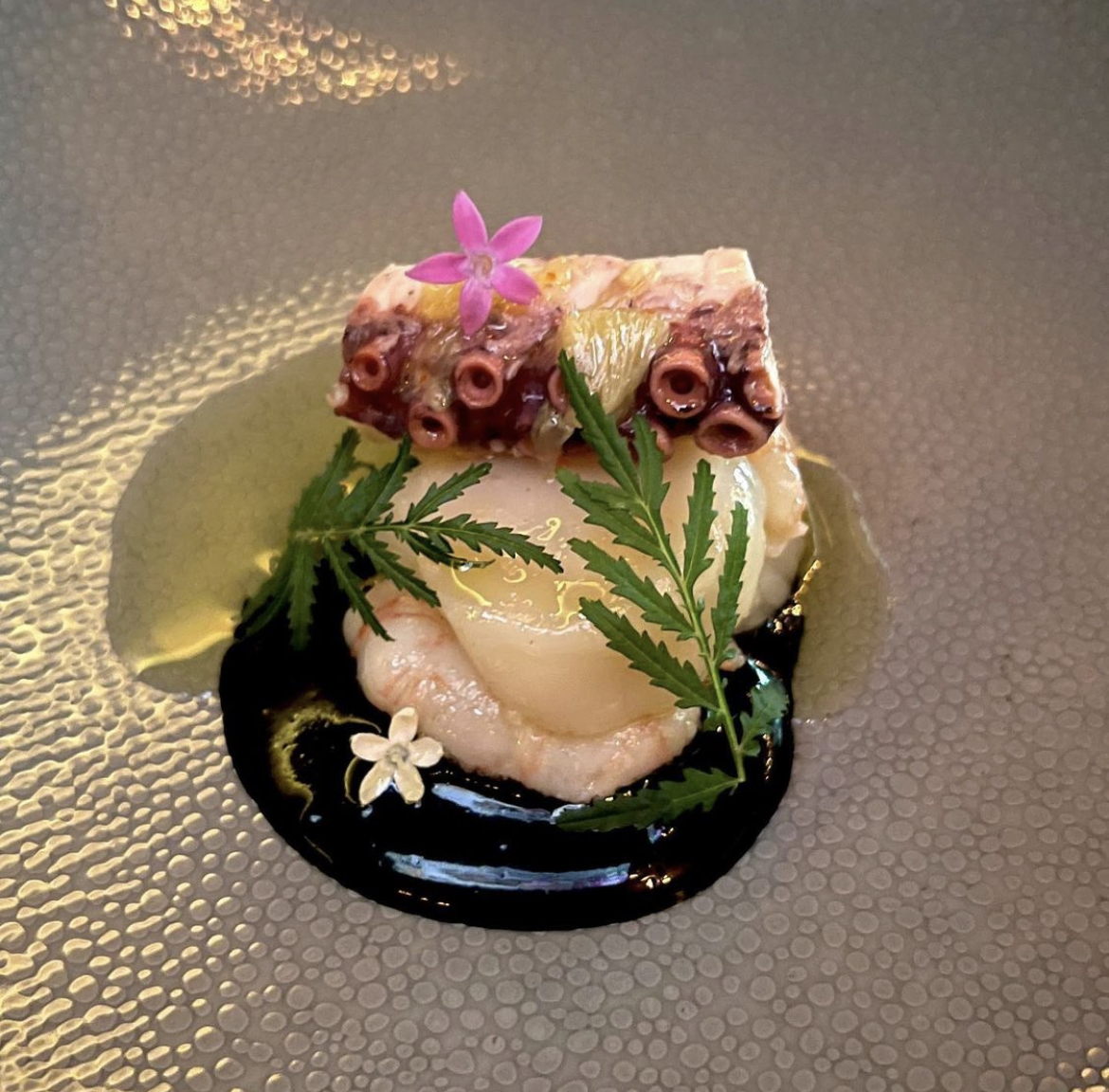 Octopus on squid ink — gourmet Spanish inflight catering